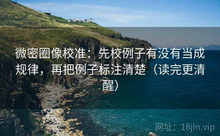 微密圈像校准：先校例子有没有当成规律，再把例子标注清楚（读完更清醒）